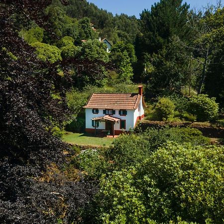 Valle Paraizo Camacha  ภายนอก รูปภาพ