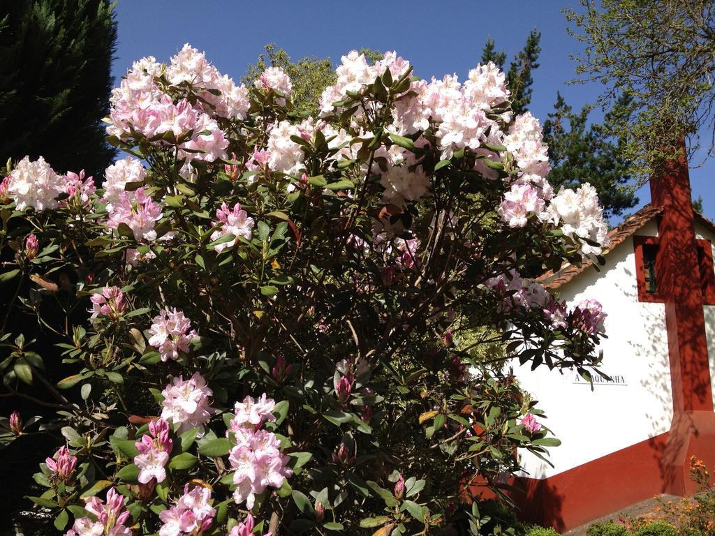 Valle Paraizo Camacha  ภายนอก รูปภาพ