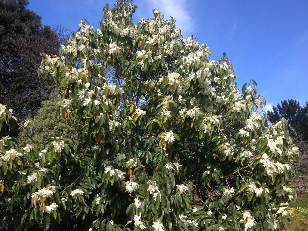 Valle Paraizo Camacha  ภายนอก รูปภาพ