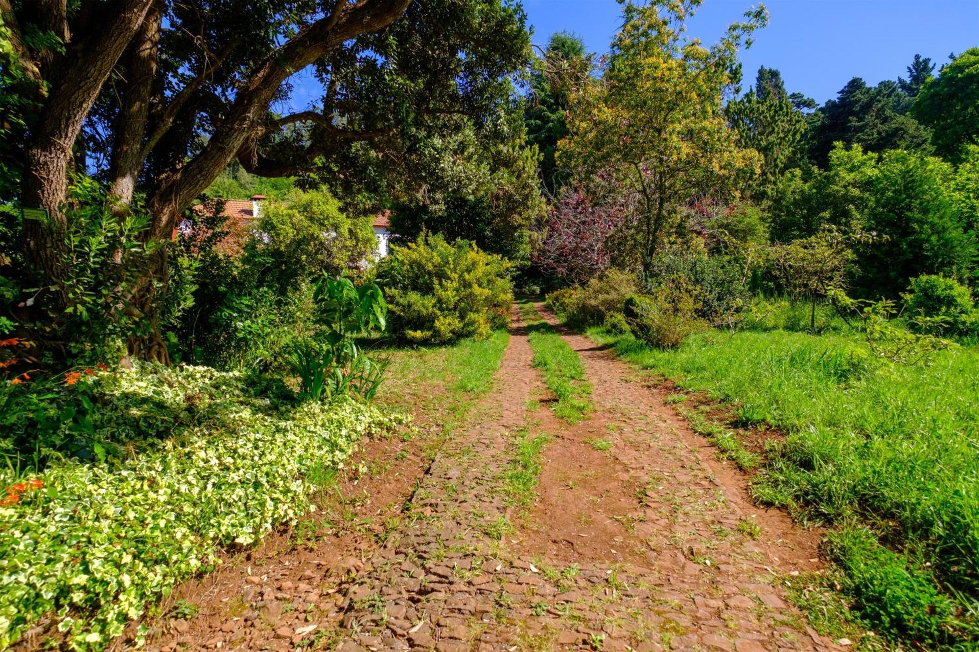 Valle Paraizo Camacha  ภายนอก รูปภาพ