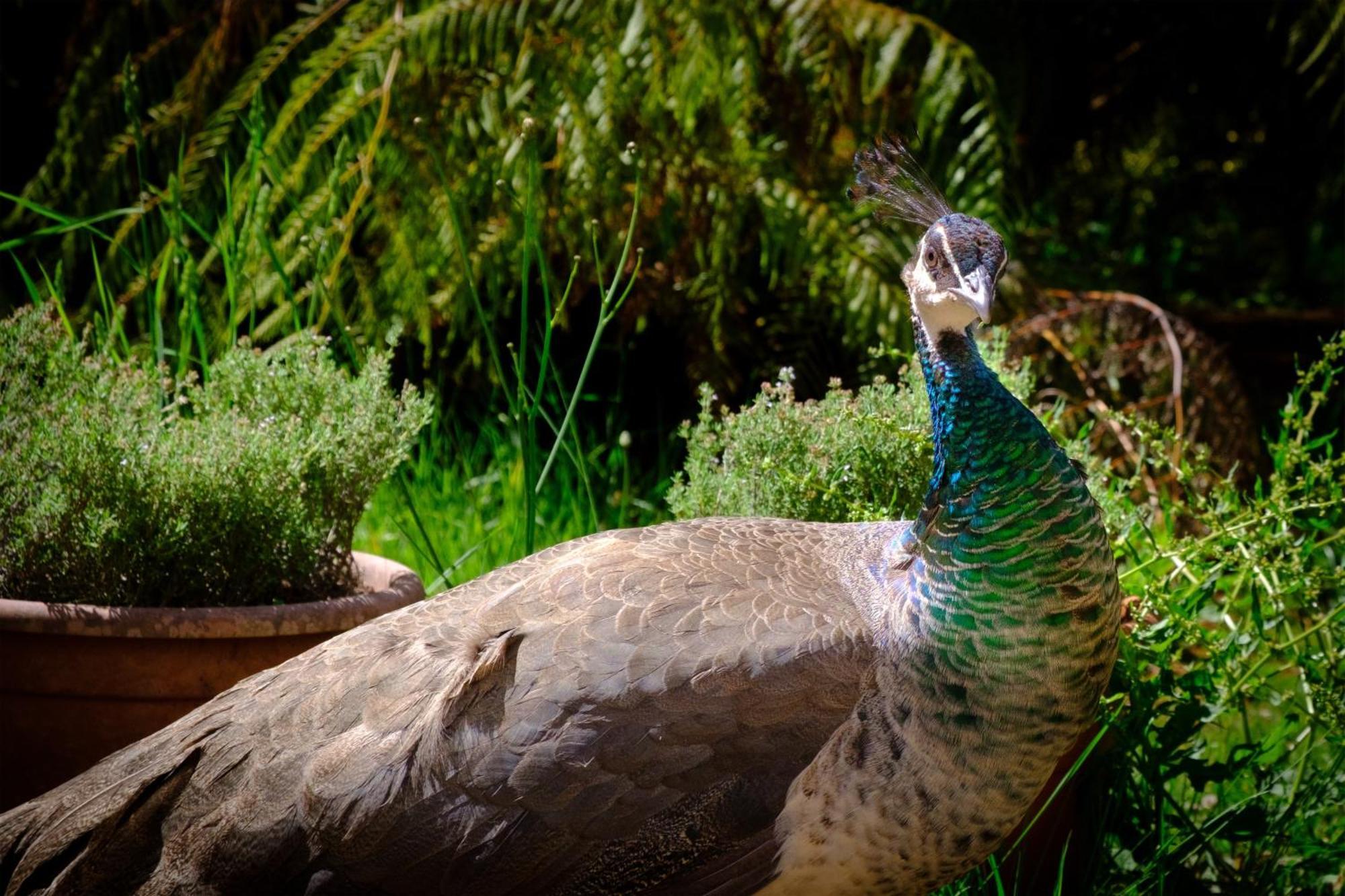 Valle Paraizo Camacha  ภายนอก รูปภาพ