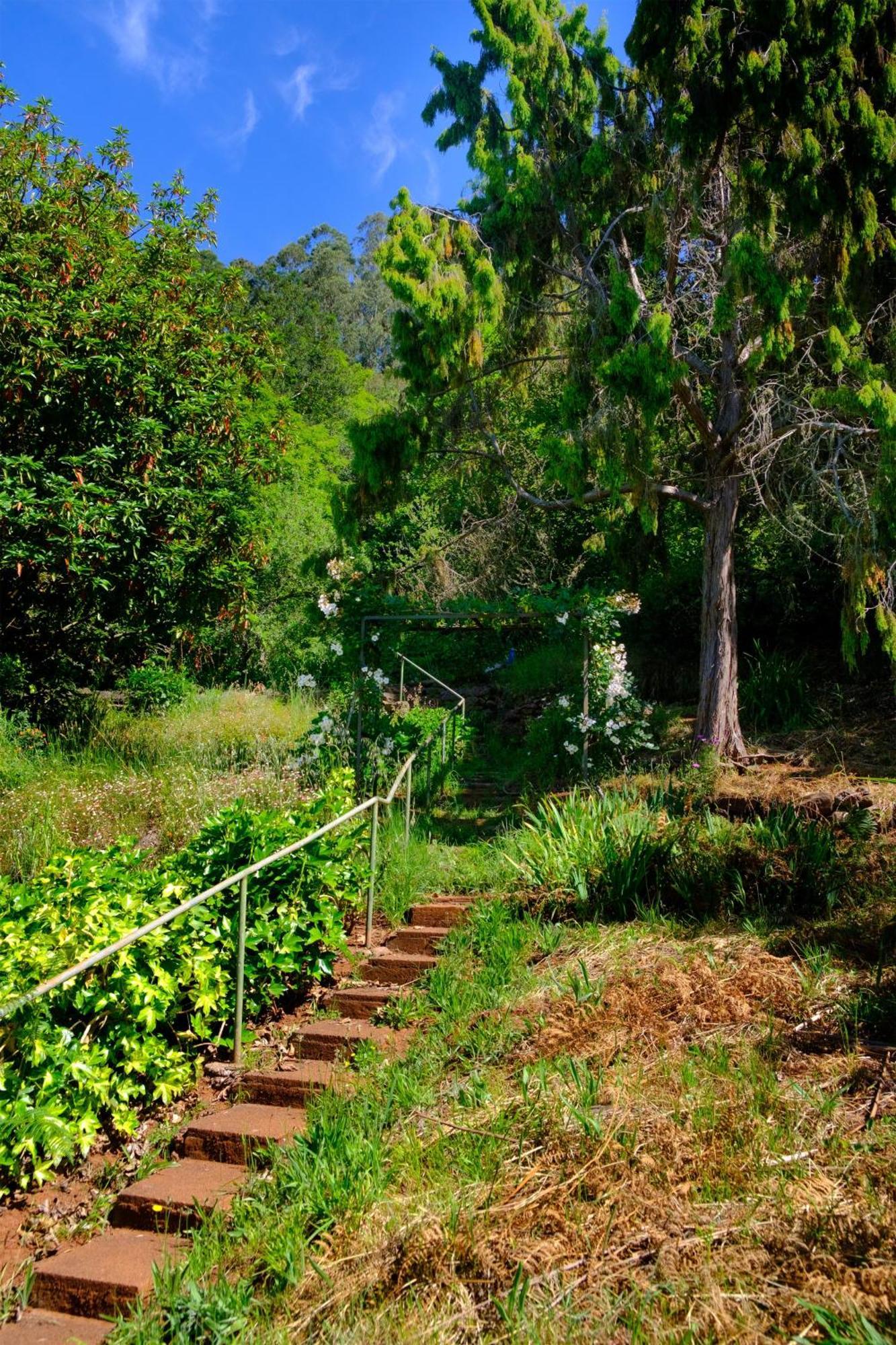 Valle Paraizo Camacha  ภายนอก รูปภาพ