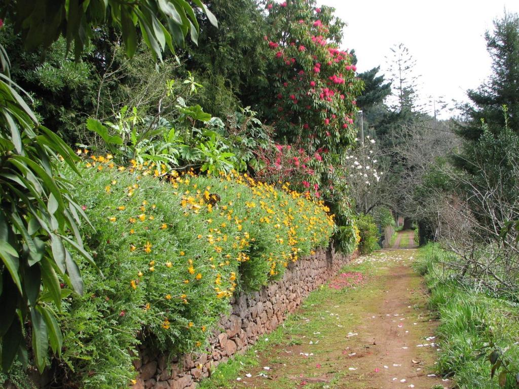 Valle Paraizo Camacha  ภายนอก รูปภาพ