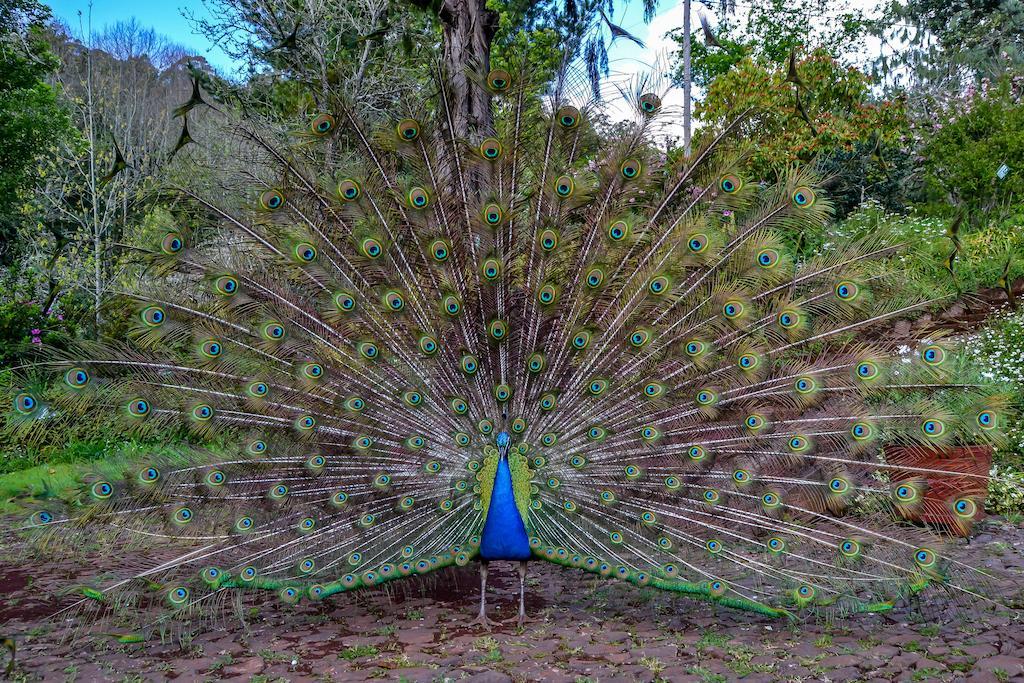 Valle Paraizo Camacha  ภายนอก รูปภาพ