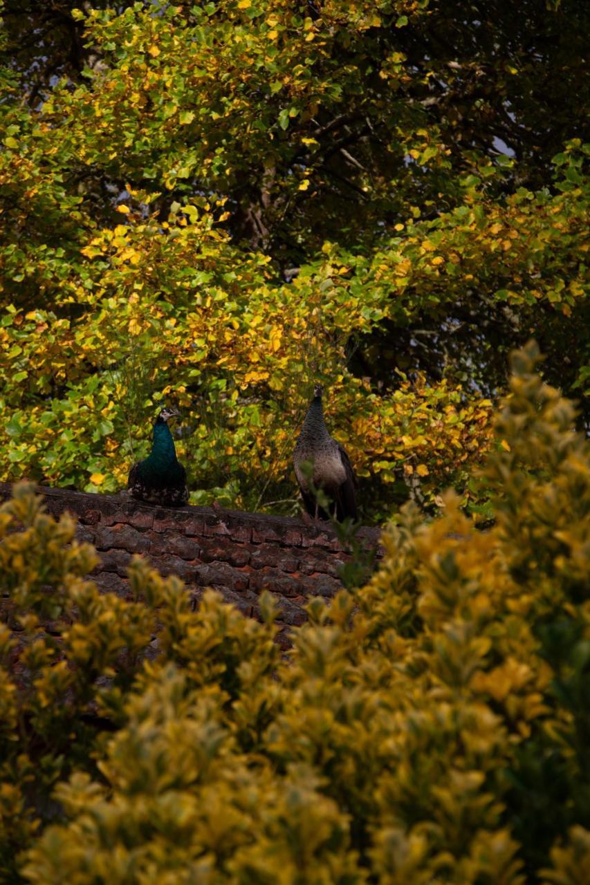 Valle Paraizo Camacha  ภายนอก รูปภาพ
